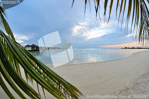 Image of tropical beach