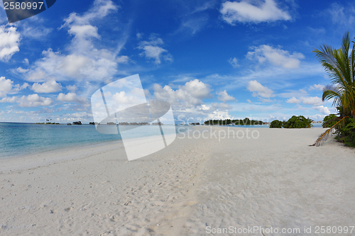 Image of tropical beach