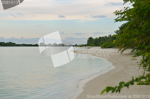 Image of tropical beach