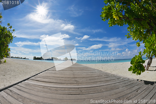 Image of tropical beach