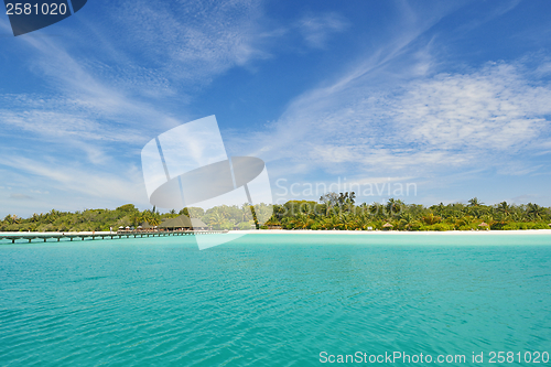 Image of tropical beach