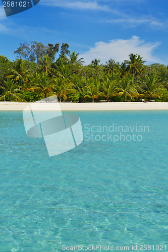 Image of tropical beach