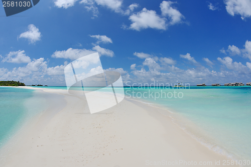 Image of tropical beach