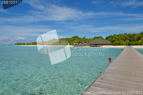 Image of tropical beach