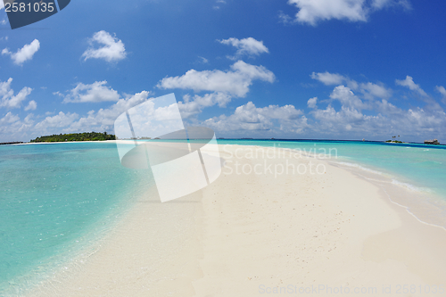 Image of tropical beach