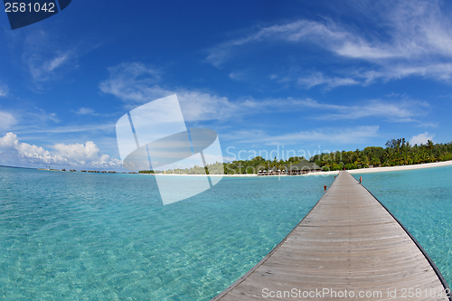 Image of tropical beach