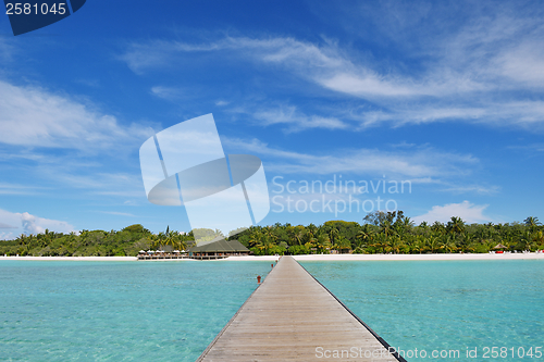 Image of tropical beach