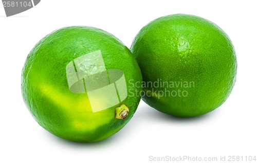 Image of Lime