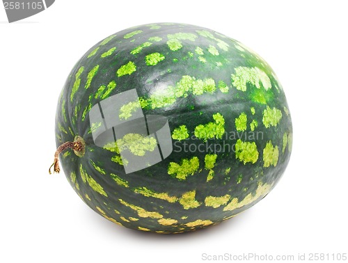 Image of Watermelon