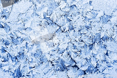 Image of Frost pattern