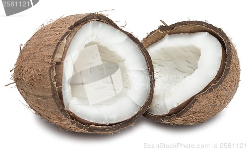 Image of Coconut