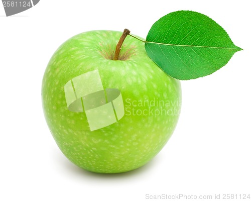 Image of Apple
