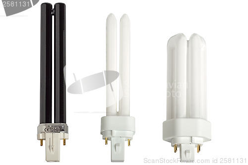 Image of Compact fluorescent lamps.