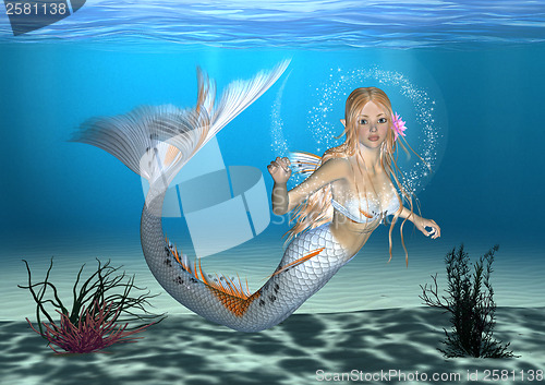 Image of Mermaid