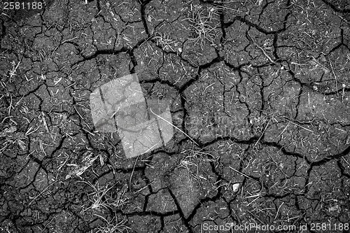 Image of Closeup of dry soil texture