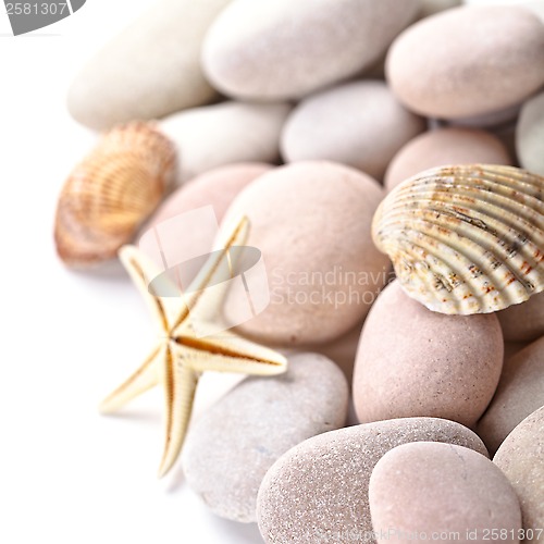 Image of pile of stones, shells and sea star 