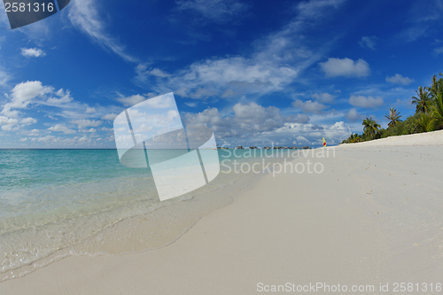 Image of tropical beach