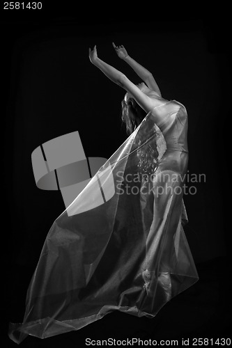 Image of Movement With Sheer Fabrics and Long Exposure