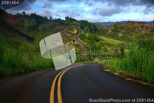 Image of Artistic Curved Road on the Island of Kauai