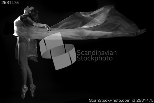 Image of Movement With Sheer Fabrics and Long Exposure