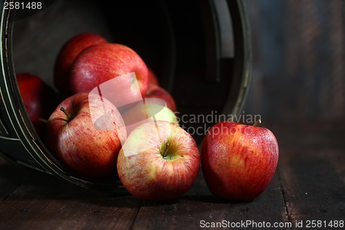 Image of Homey Barrel Full of Red Apples on Wood Grunge  Background