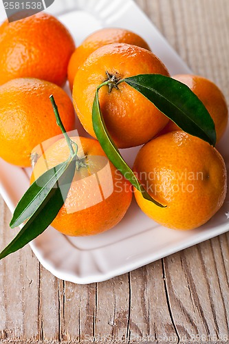 Image of tangerines with leaves in plate 