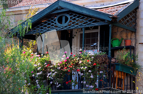 Image of Flowers in the Balcony