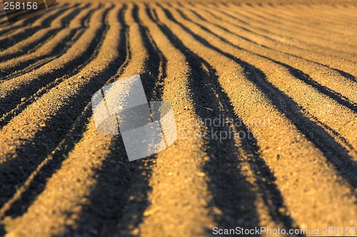 Image of Ploughed soil