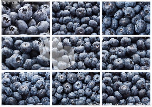 Image of Blueberries