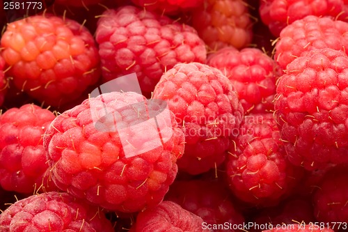 Image of Raspberries
