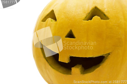 Image of Halloween pumpkin