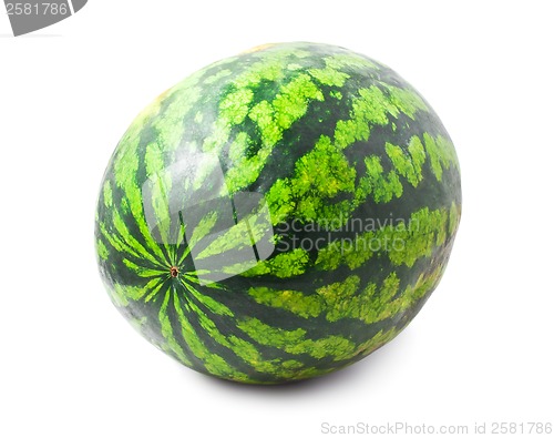 Image of Watermelon