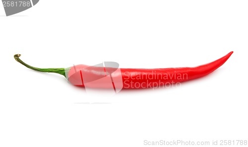 Image of Hot chili pepper