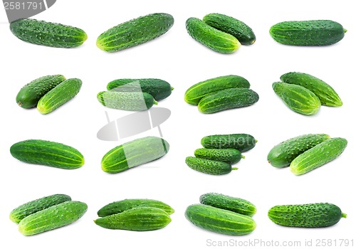 Image of Cucumbers