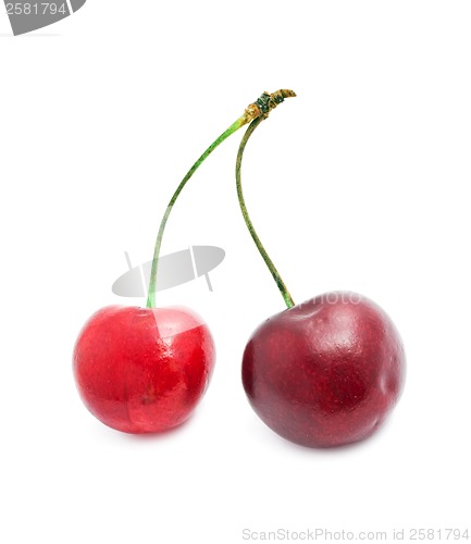 Image of Red cherry
