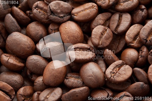 Image of Coffee beans