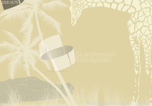 Image of Tropical animal background