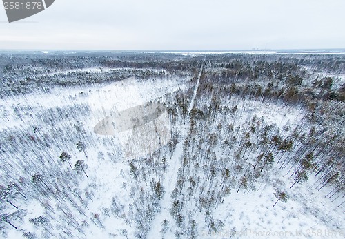 Image of aerial view of winter forest