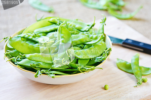 Image of Snow pea