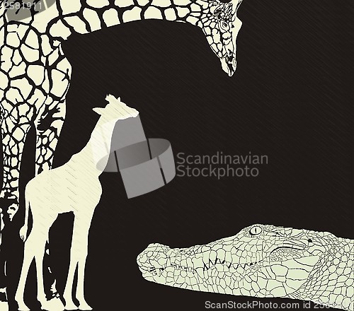 Image of Tropical animal background