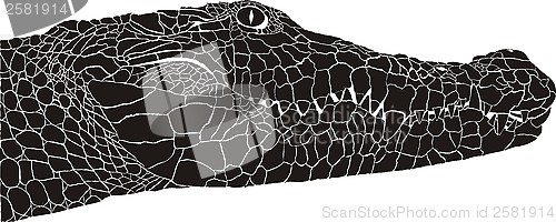 Image of Crocodile head