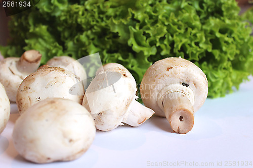 Image of agaric and lettuce ready for the cooking