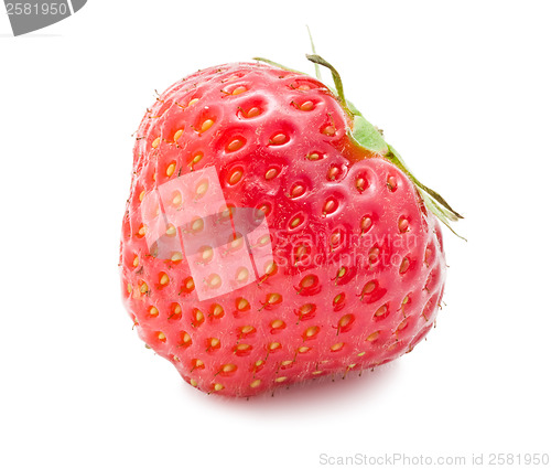 Image of Strawberry