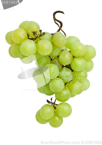 Image of Grapes