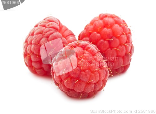 Image of Fresh raspberries