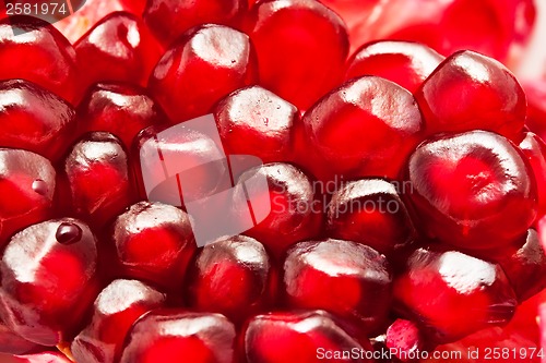 Image of Pomegranate