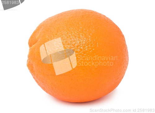 Image of Orange