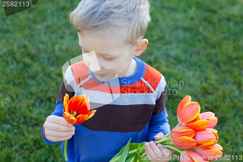 Image of spring time