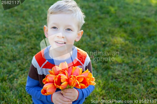 Image of spring time