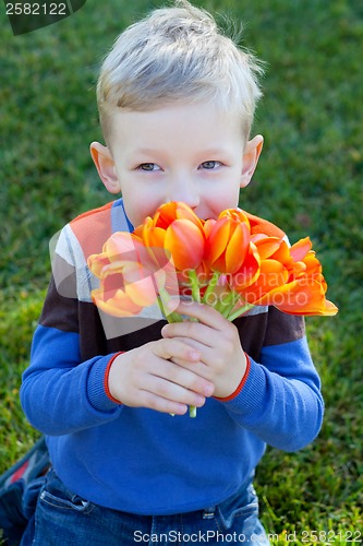 Image of spring time